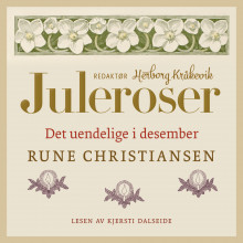 Det uendelige i desember av Rune Christiansen (Nedlastbar lydbok)