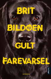 Gult farevarsel av Brit Bildøen (Ebok)