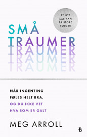 Små traumer av Meg Arroll (Ebok)