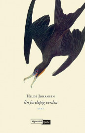 En foreløpig verden av Hilde Johansen (Ebok)