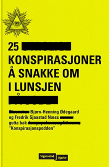 25 konspirasjoner å snakke om i lunsjen av Bjørn-Henning Ødegaard og Fredrik Sjaastad Næss (Ebok)