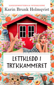 Lettkledd i Trykkammeret av Karin Brunk Holmqvist (Ebok)