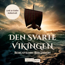 Den svarte vikingen av Bergsveinn Birgisson (Nedlastbar lydbok)