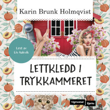 Lettkledd i Trykkammeret av Karin Brunk Holmqvist (Nedlastbar lydbok)