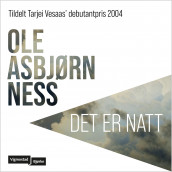 Det er natt av Ole Asbjørn Ness (Nedlastbar lydbok)