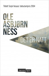 Det er natt av Ole Asbjørn Ness (Ebok)