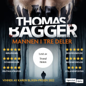 Mannen i tre deler av Thomas Bagger (Nedlastbar lydbok)