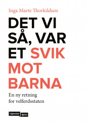 Det vi så, var et svik mot barna av Inga Marte Thorkildsen (Ebok)