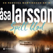 Spilt blod av Åsa Larsson (Nedlastbar lydbok)