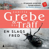 En slags fred av Camilla Grebe og Åsa Träff (Nedlastbar lydbok)