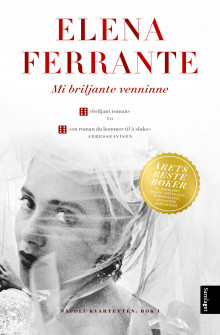 Mi briljante venninne av Elena Ferrante (Nedlastbar lydbok)