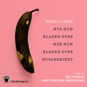 Hva hun klager over når hun klager over husarbeidet av Heidi Linde (Nedlastbar lydbok)