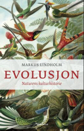 Evolusjon av Markus Lindholm (Ebok)