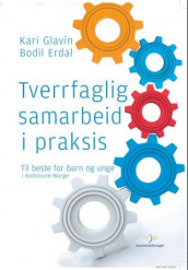 Tverrfaglig samarbeid i praksis av Bodil Erdal og Kari Glavin (Heftet)