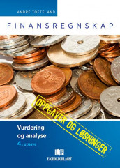 Finansregnskap av André Tofteland (Ebok)