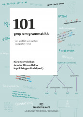 101 grep om grammatikk (Heftet)