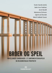 Broer og speil (Ebok)