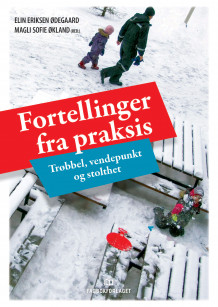 Fortellinger fra praksis av Elin Eriksen Ødegaard og Magli Sofie Økland (Ebok)