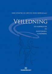 Veiledning (Ebok)