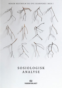Sosiologisk analyse av Roger Hestholm og Ove Skarpenes (Ebok)