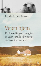 Veien hjem av Linda Erlien Borren (Innbundet)