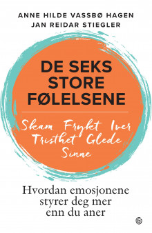 De seks store følelsene av Anne Hilde Vassbø Hagen og Jan Reidar Stiegler (Ebok)