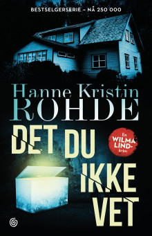 Det du ikke vet av Hanne Kristin Rohde (Innbundet)
