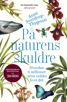På naturens skuldre av Anne Sverdrup-Thygeson (Heftet)