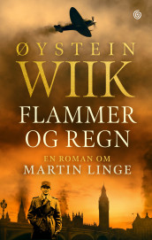 Flammer og regn av Øystein Wiik (Innbundet)