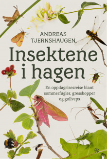 Insektene i hagen av Andreas Tjernshaugen (Ebok)