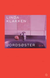 Jordsøster av Linda Klakken (Ebok)