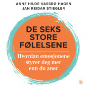 De seks store følelsene av Anne Hilde Vassbø Hagen og Jan Reidar Stiegler (Nedlastbar lydbok)