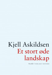 Et stort øde landskap av Kjell Askildsen (Ebok)
