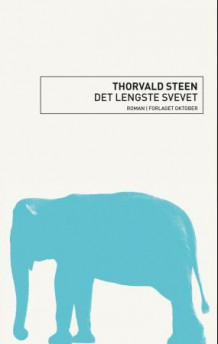 Det lengste svevet av Thorvald Steen (Ebok)