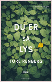 Du er så lys av Tore Renberg (Ebok)