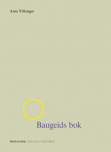 Baugeids bok av Aina Villanger (Ebok)