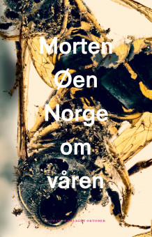 Norge om våren av Morten Øen (Ebok)