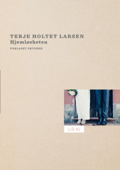 Hjemløsheten av Terje Holtet Larsen (Ebok)