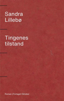 Tingenes tilstand av Sandra Lillebø (Ebok)