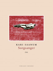 Sorgsanger av Kari Saanum (Heftet)