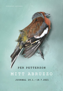 Mitt Abruzzo av Per Petterson (Ebok)