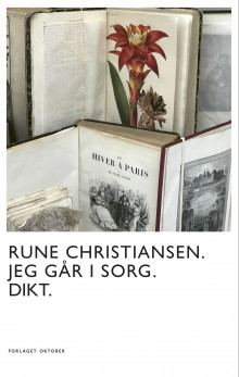 Jeg går i sorg av Rune Christiansen (Ebok)
