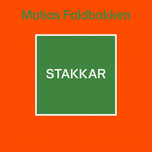 Stakkar av Matias Faldbakken (Nedlastbar lydbok)