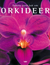 Damms store bok om orkideer av Thomas J. Sheehan (Innbundet)