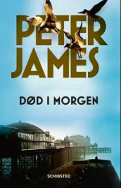 Død i morgen av Peter James (Ebok)