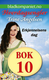 Erkjennelsens dag av Trine Angelsen (Ebok)