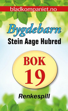 Renkespill av Stein Aage Hubred (Ebok)