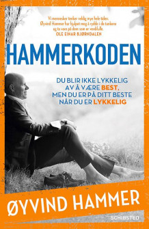 Hammerkoden av Øyvind Hammer (Heftet)