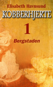 Bergstaden av Elisabeth Havnsund (Ebok)