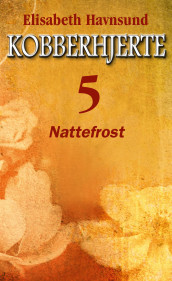 Nattefrost av Elisabeth Havnsund (Ebok)